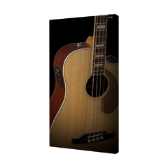 QUADRO ACÚSTICO - BAIXO C.