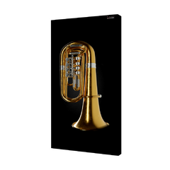 QUADRO ACÚSTICO - TUBA