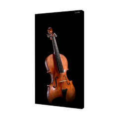 QUADRO ACÚSTICO - VIOLINO