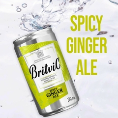 Refrigerante Spicy Ginger Ale Britvic 220ml - comprar online