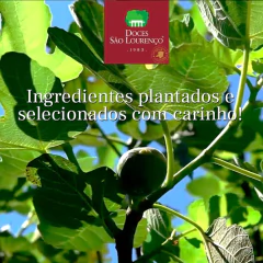 Kit c/ 4und Figo em Calda São Lourenço 400g - Fruttato