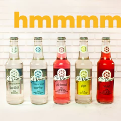 Água Tônica ST PIERRE Tradicional 275ml