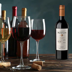 Vinho Argentino NORTON Select Malbec 750ml - comprar online