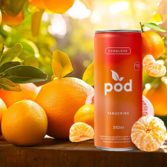 Kit c/ 6und Kombucha Probiótico Tangerina POD 310ml na internet