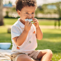 Tablete de Frutas Manga e Maçã 20g Display 12und NATIKOS - loja online
