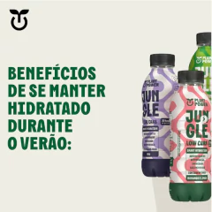 Isotônico Jungle Low Carb Morango e Limão Plant 500ml - comprar online