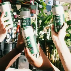 Imagem do Kit c/ 6und Bebida Mista Rum Guanará XEQUE MATE 355ml