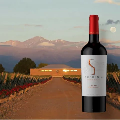 Vinho Argentino Sophenia ALTOSUR Malbec 750ml - loja online