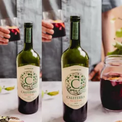 Vinho Chileno CALITERRA Reserva Carmenere 750ml - comprar online