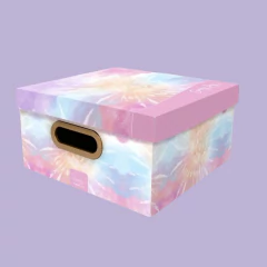 Kit 2un Caixa Organizadora Media SunnyDay Dello 29x29x15cm na internet