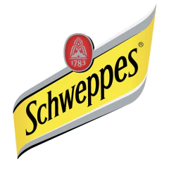 Schweppes Ginger Ale Lata 220ml (12 latas)