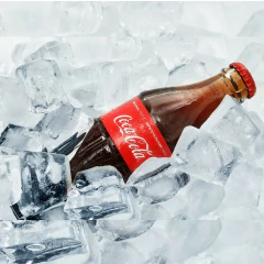 Refrigerante Coca Cola Original Vidro 250ml (12 unidades) - loja online