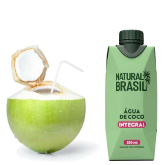 Água de Coco Integral NATURAL BRASIL 330ml - loja online