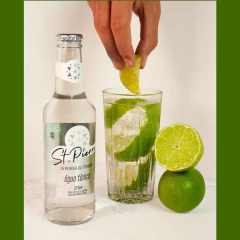 Água Tônica ST PIERRE Tradicional 275ml - comprar online