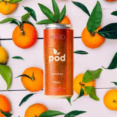 Kit c/ 6und Kombucha Probiótico Tangerina POD 310ml - loja online