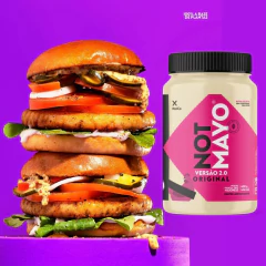 Kit c/ 3un Maionese Vegana Not Mayo Original 450g - comprar online