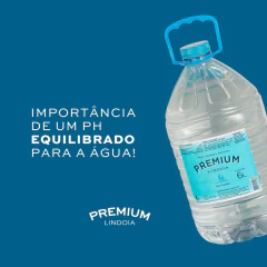 Agua Mineral Natural LINDOIA Premium 6L na internet