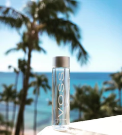 Água Mineral VOSS sem gás pet 500ml na internet