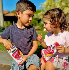 Kit Lanche Escolar Saudável Sem Glúten 25g 4 Sabores (30 un) - Fruttato