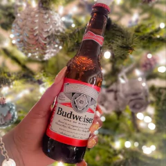 Cerveja BUDWEISER One Way Garrafa 330ml (12 Garrafas) - Fruttato