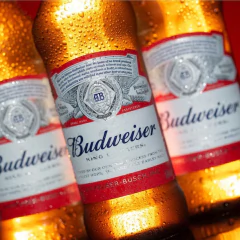Cerveja BUDWEISER One Way Garrafa 330ml (12 Garrafas) - loja online