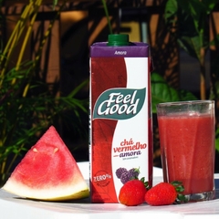 Kit c/ 12und Chá Amora e Lichia FEEL GOOD 1L - loja online