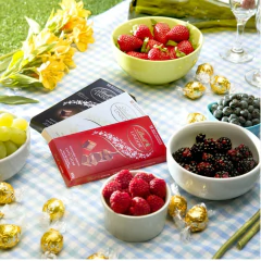 Kit c/ 5un Chocolate Suiço LINDT Lindor Milk 100g - comprar online