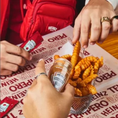 Tempero Para Batata Frita HEINZ 70g - comprar online