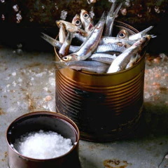 File de Anchovas em Azeite EVO Castrovinci 100g na internet