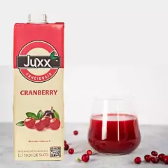 Suco Funcional de Cranberry JUXX 1 Litro (6 Litros) - loja online