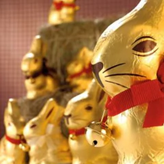 Imagem do Ovo de Páscoa Lindt Gold Bunny ao Leite 125g (2 unidades)