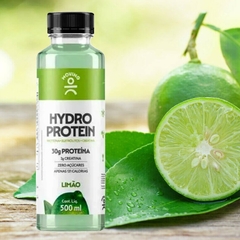 Kit c/ 6und Bebida MOVING Hydro Protein Limão 500ml - Fruttato