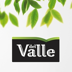 Néctar de Uva DEL VALLE Tradicional Lata 290ml (24 latas) na internet