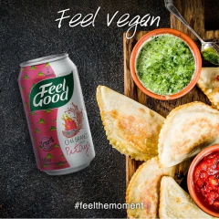 Kit c/ 12und Chá Branco com Pitaya FEEL GOOD 330ml - comprar online