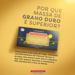 Massa para Lasanha di Grano Duro PAGANINI 200g na internet