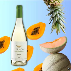 Vinho YARDEN Kosher MOUNT HERMON Branco Israel 750ml (3 garrafas) - Fruttato