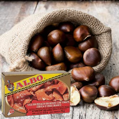 Lula em Pedaços no Molho de Tomate ALBO 72g Espanha - loja online