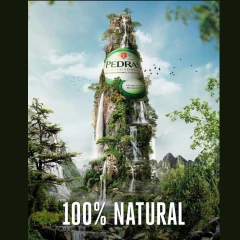 Imagem do Kit 6und Água Mineral Natural c/ Gás PEDRAS SALGADAS 250ml