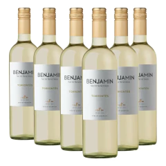 Kit c/ 6und Vinho Argentino BENJAMIN NIETO Torrontes 750ml