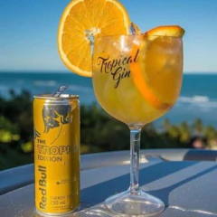 Energético RED BULL Tropical Edition 250ml (4 unidades) - loja online