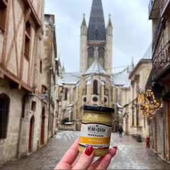 Kit c/ 3und Mostarda REINE DE DIJON Forte 200g (França) na internet