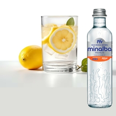 Kit c/ 12und Água Mineral c/ Gás PREMIUM MINALBA Vidro 300ml na internet
