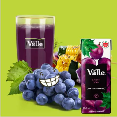 Kit c/ 18und Nectar de Uva DEL VALLE Tetra Pak 200ml - loja online