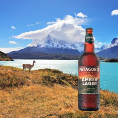 Cerveja Amber Lager PATAGONIA One Way 740ml (6 Garrafas) na internet