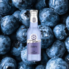 Refrigerante Blueberry ST PIERRE Long Neck 275ml (12 und) na internet