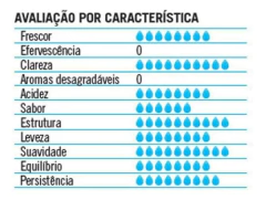 Água Mineral VOSS sem gás pet 500ml (12 Garrafas) - Fruttato