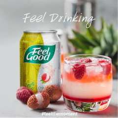 Kit c/ 6und Chá Branco FEEL GOOD C/ Lichia 330ml na internet