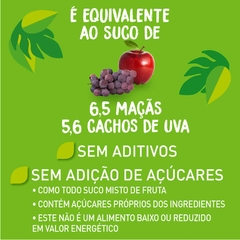 Kit c/ 12und Suco de Uva e Maçã NATURAL ONE Ambiente 300ml - loja online