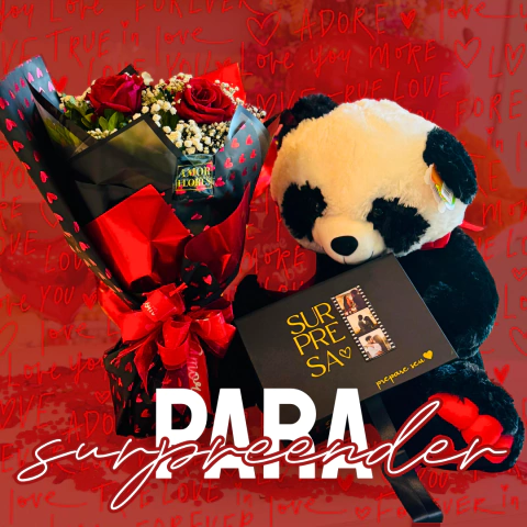 Banner rotativo 1