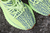 Adidas Yeezy Boost 350 V2 "Semi Franzen Yellow""  on internet